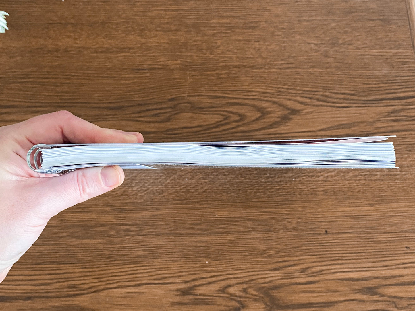 Floral & Sage Appointment Book