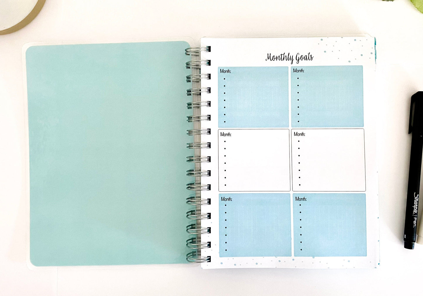 Daily To-Do Planner, Teal
