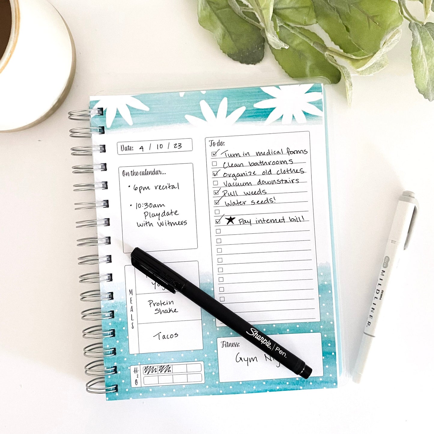 Daily To-Do Planner, Teal